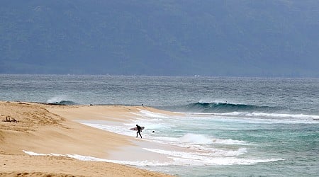 Hawaii lifeguard dies in shark attack while surfing off Oahu...