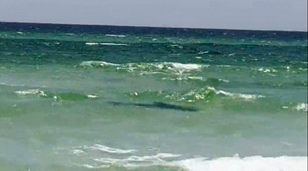 3 swimmers attacked by sharks off Florida panhandle