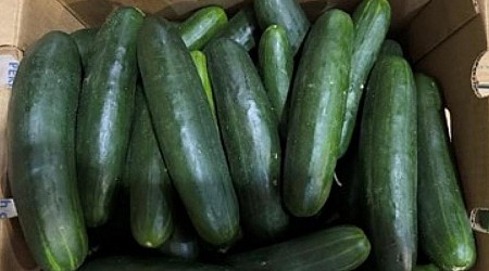 Cucumber salmonella outbreak: CDC, FDA identifies a likely source