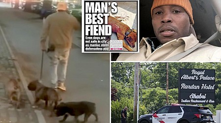 Dog owner wrapped up in Central Park pooch stabbing killed in police shootout in New Jersey
