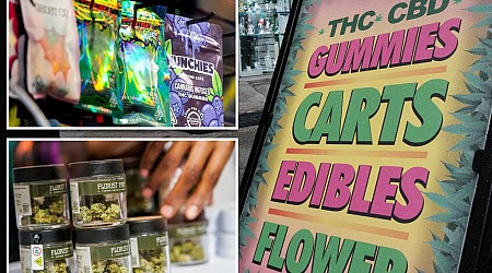New York cannabis shops can offer discounts on pot under new proposal