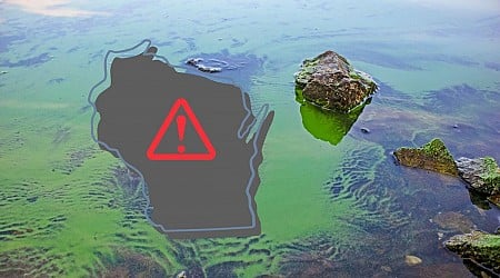 Potentially Deadly Bacteria Can Now Be Found In Wisconsin Lakes