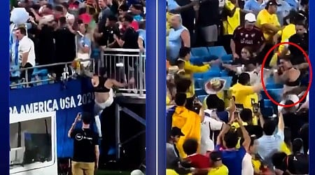 Nunez climbs into stands and involved in brawl with fans