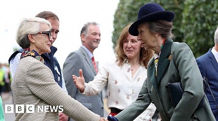 Princess Anne returns to public duties after head injury