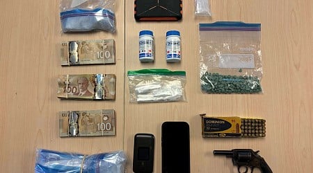 Kingston Police investigation results in seizure of over $70,000 of drugs