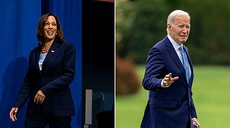 Kamala Harris won't save Democrats if she takes over for Biden, warns historian who correctly predicted 9 of the last 10 elections