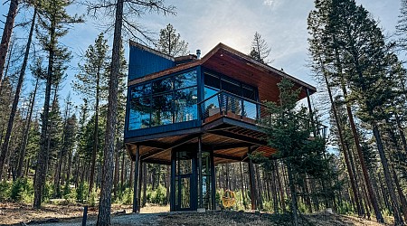 Luxury treehouses and fabulous food in the wilds of Montana: My stay at The Green-O