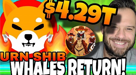 Shiba Inu’s Whale Activity Signals Potential Price Recovery – Will the Newest Meme Coin SHIBASHOOT Follow SHIB’s Success?