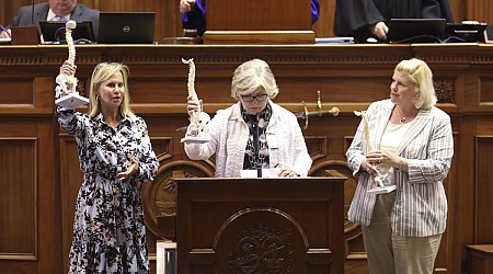 Three female GOP state senators who filibustered S.C. abortion ban lost their primaries