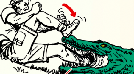 Skill of the Week: Survive an Alligator Attack
