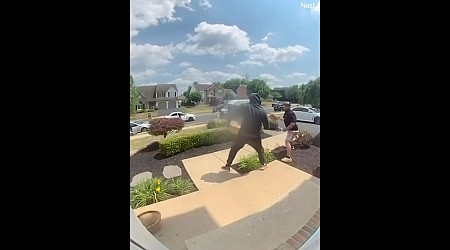 WATCH: Dueling porch pirates