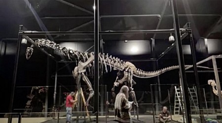 Huge dinosaur skeleton unearthed in Wyoming makes it to museum in Europe