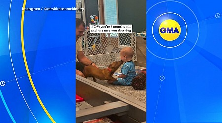 WATCH: Infant meets new puppy