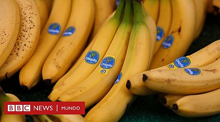La oscura influencia en América Latina de la bananera de EE.UU. United Fruit Company y su heredera Chiquita Brands