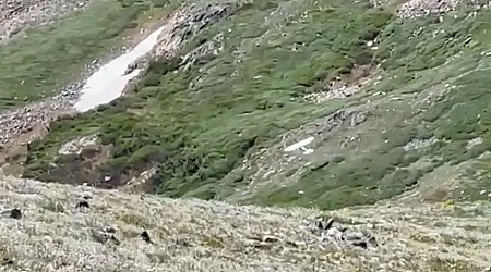 Plane Barely Recovering from Spin in Mountains