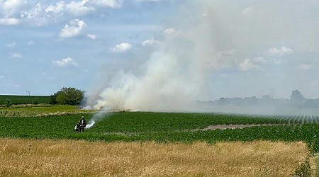 Firefighters responding to large field fire in Tolono