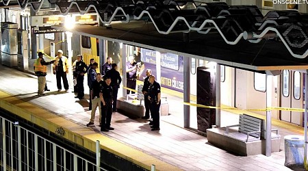 Man fatally shot on Metro train in South L.A., police say
