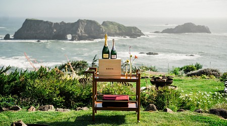 The Latest Single Ingredient Journey of Krug Blooms at Harbor House