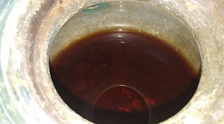 This Murky Liquid Is the Oldest-Known Wine, With a Horrifying Extra Ingredient