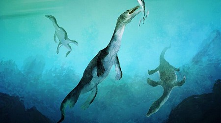 Los reptiles dominaron los mares antes de la llegada de los dinosaurios. Y solo ahora estamos descubriendo en qué medida