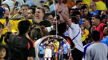 Uruguay players brawl with Colombia fans at Copa America