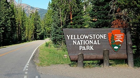 Shooting at Yellowstone National Park on July Fourth injures ranger, kills suspect