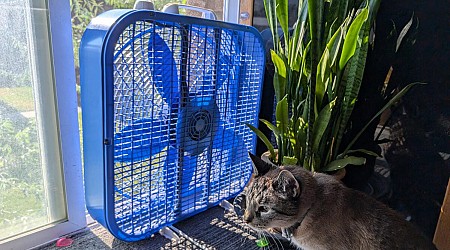 How to Harness Cross Ventilation and Cut Your Air Conditioning Bill This Summer