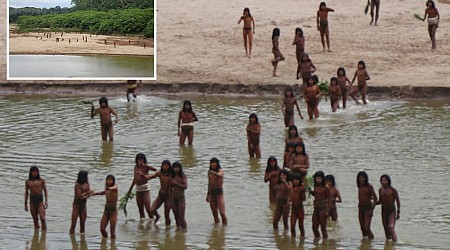 Striking footage shows rare isolated Amazon tribe emerge from forest near loggers