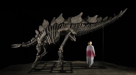 Dinosaur skeleton sets auction record, selling for $44.6 million