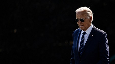 Biden held 'tense' call with group of House Democrats over concerns he can't win