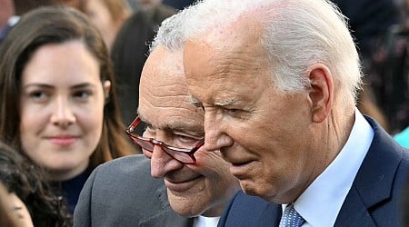 Schumer privately urged Biden to step aside in 2024 election: Sources
