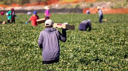 The Workers Who Feed America Are Going Hungry