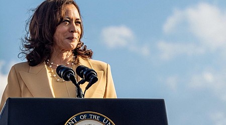 WATCH: Harris works to win over Democratic donors