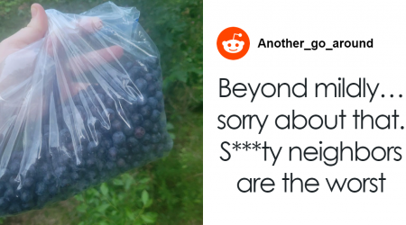 Woman Furious After Neighbors Come Over Uninvited And Pick Her Blueberry Bush Clean