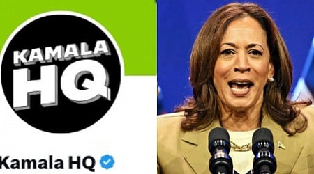 The one thing Kamala Harris must not do is embrace the memes