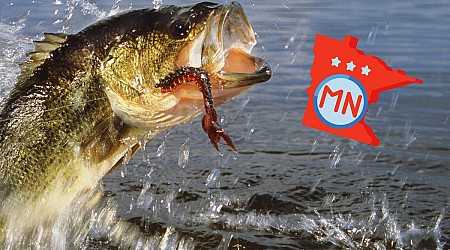 Where Does Minnesota Rank Among Best Fishing States in America?