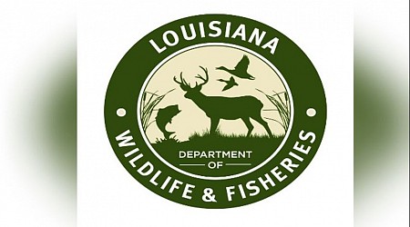 LDWF cites woman for illegally possessing more than 50 undersized trout in Lafourche Parish