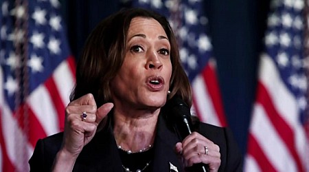 VP Kamala Harris' competitors have just days to get on the ballot ahead of the convention