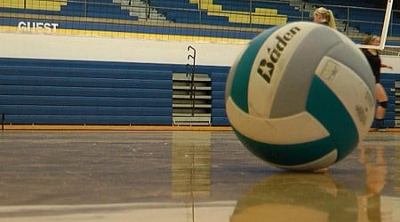 At Least One St. Cloud Area School Will Offer Boys Volleyball