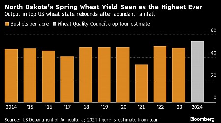 Wheat Supplies Set to Expand With Record North Dakota Yields