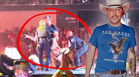 Jason Aldean Fan Pummeled By Police Mid-Concert In Georgia