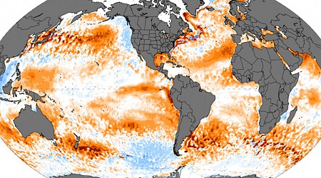 Por primera vez en más de un año, las temperaturas de los océanos nos están dando un respiro. Es pronto para celebrar