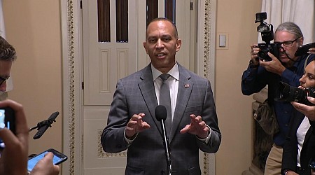 WATCH: Kamala Harris is 'exciting the country,' Rep. Jeffries says