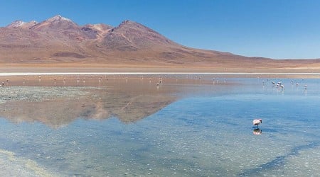 The Lithium Cabal Defeated in Bolivia, But Winning in Serbia