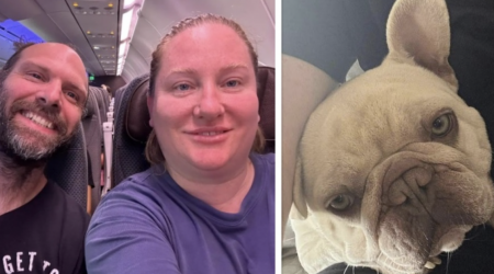 Cane muore di caldo durante un viaggio in aereo, la rabbia dei proprietari: “Obbligati a tenerlo nel trasportino, lo hanno ucciso”