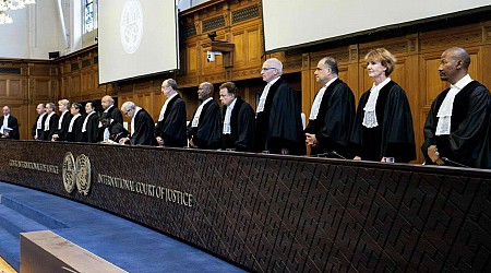 Alain Pellet, juriste : « La Cour internationale de justice redore le blason du droit international si malmené par ailleurs »