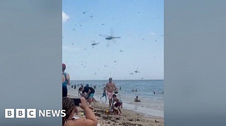 Hundreds of thousands of dragonflies swarm beachgoers