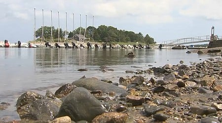 South Shore towns feuding over oyster farms