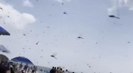 Massive dragonfly swarms descend on Rhode Island beach