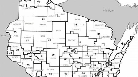 Potential impacts of new state legislative maps